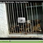 assista videos