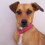 Rebecax